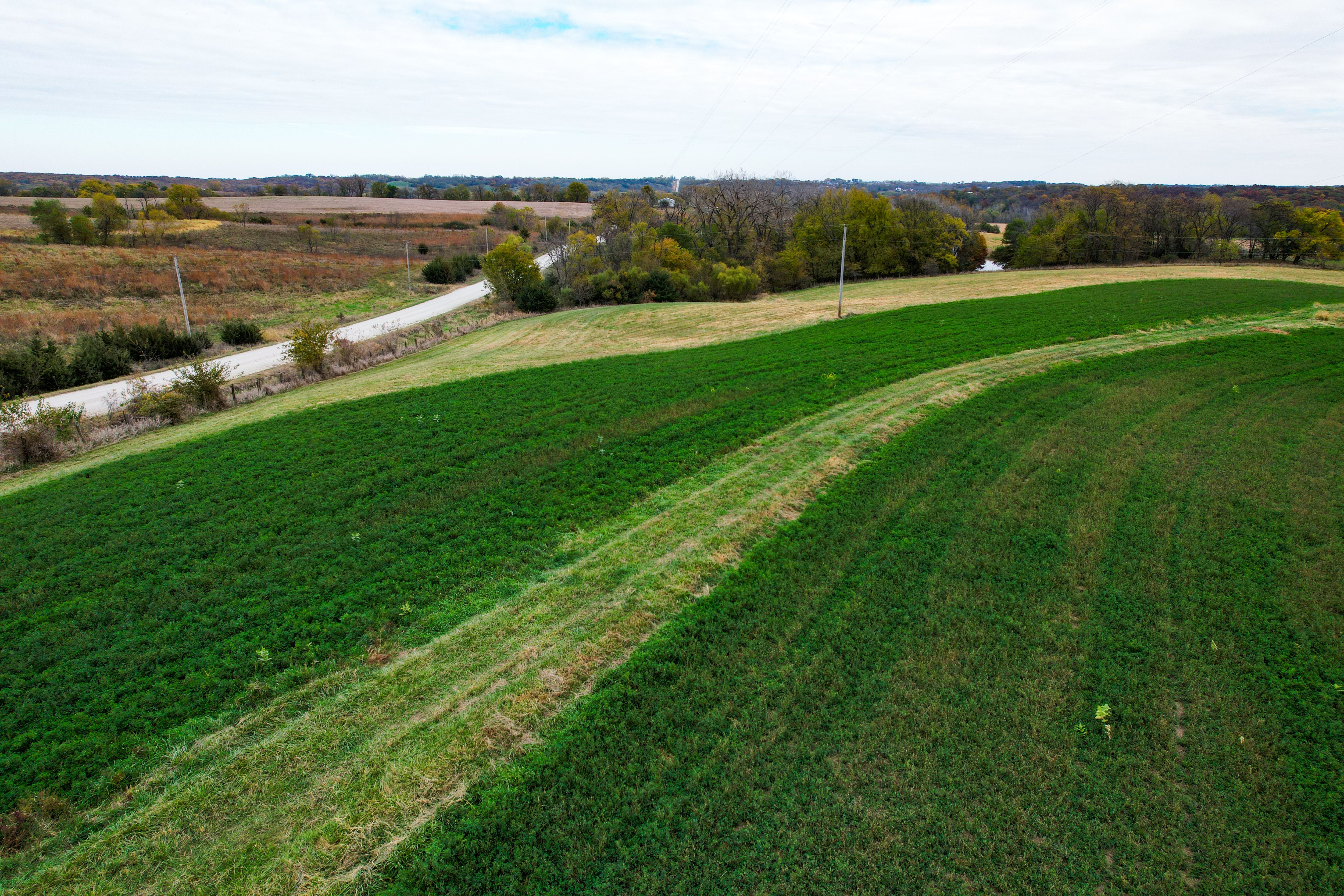 Listing Photo: Photo Oct 27 2025, 2 08 16 PM